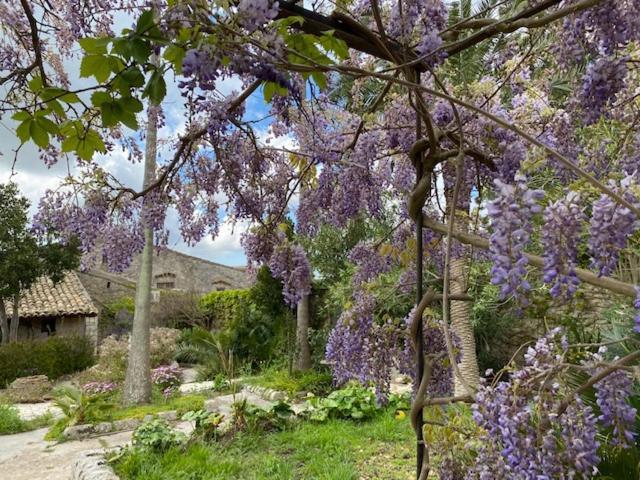 B&B Etico La Casa Di Toti Modica Exteriér fotografie